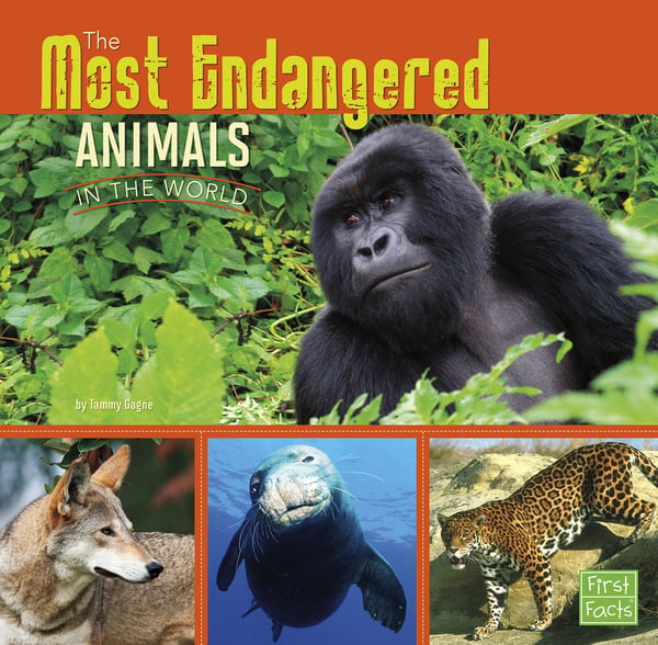 Most Endangered Animals In The World, The