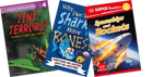 New York City Take Home Pack, Grade 4 Exciting Nonfiction