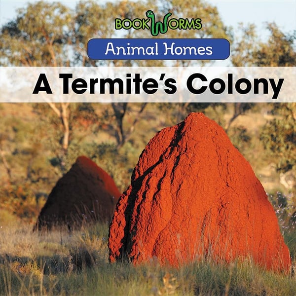 Termite's Colony, A