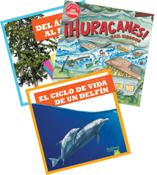 Science Kindergarten Spanish