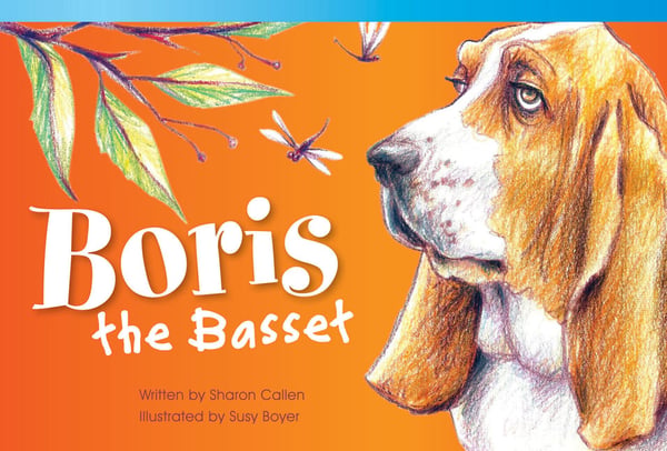 Boris The Basset