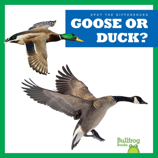 Goose Or Duck?