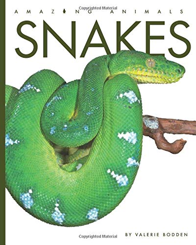 Snakes