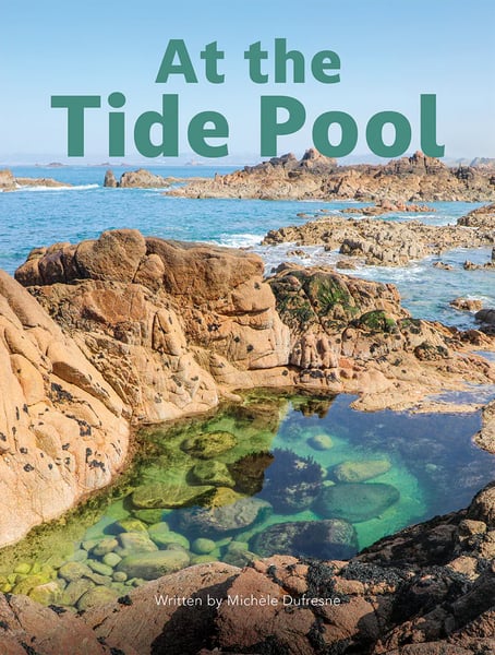 At The Tide Pool