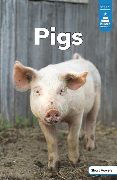 Pigs