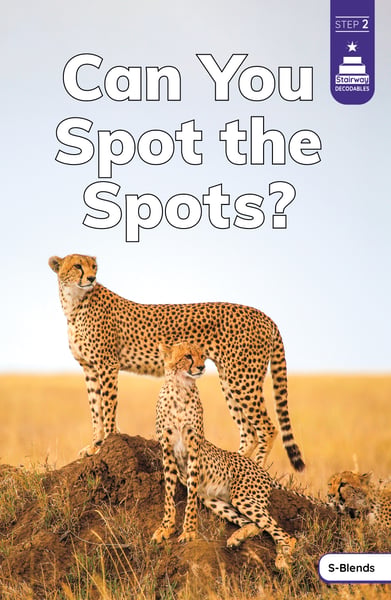 Can You Spot The Spots?