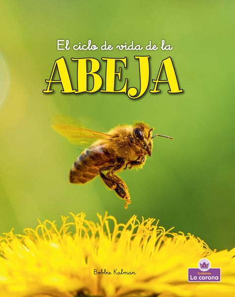 El Ciclo De Vida De La Abeja (The Life Cycle Of A Honeybee)