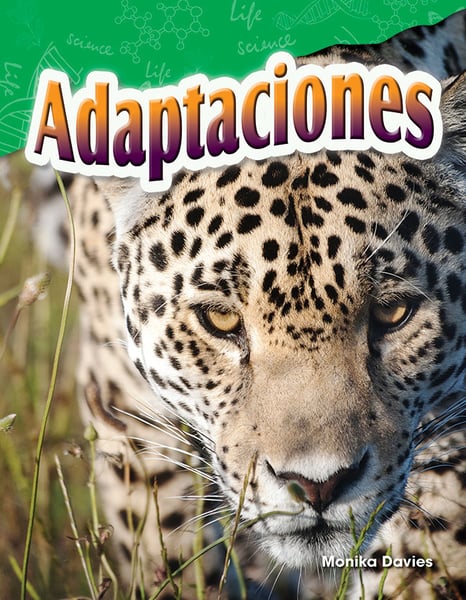 Adaptaciones (Adaptations)