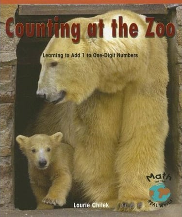 Counting At The Zoo: Learning To Add 1 To One-Digit Numbers