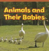 Animals And Their Babies