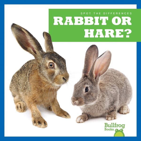 Rabbit Or Hare?