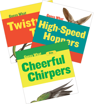 Level D Guess What Series