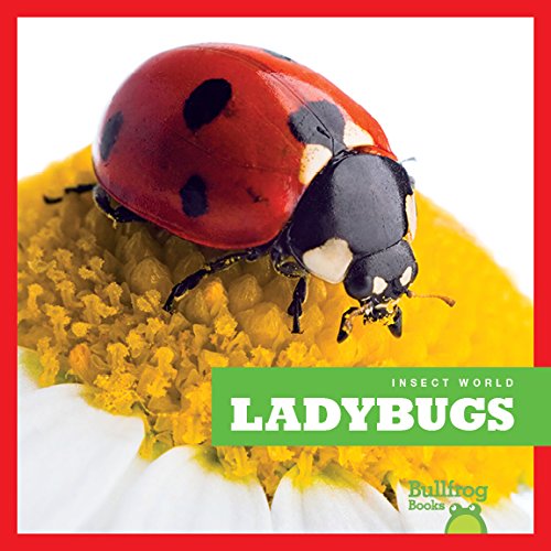 Ladybugs