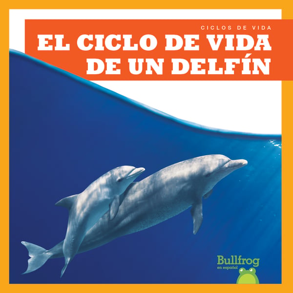 El Ciclo De Vida De Un Delfin (A Dolphin's Life Cycle)