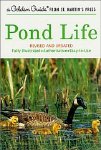 Pond Life