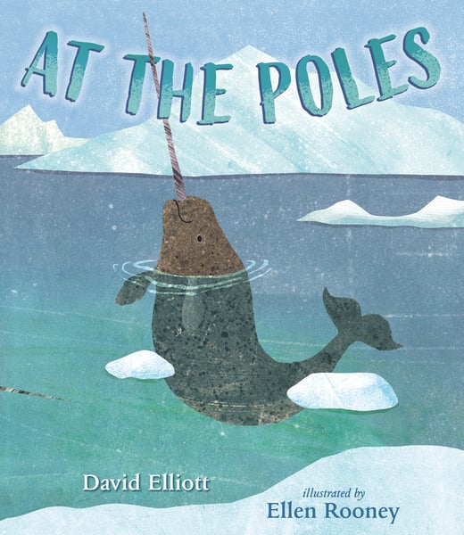 At The Poles