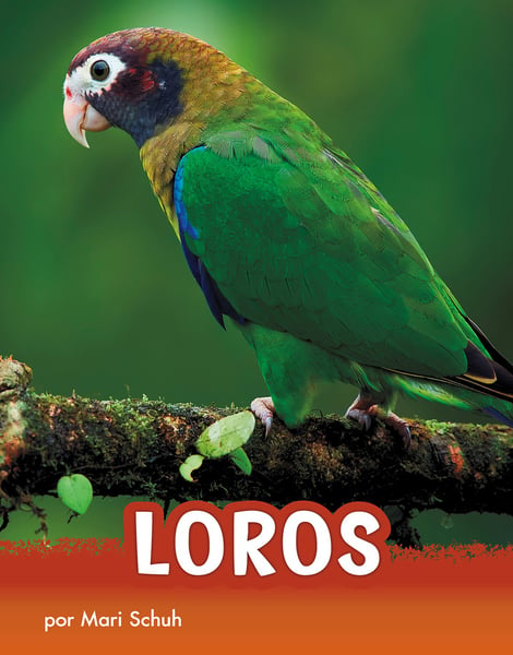 Loros (Parrots)