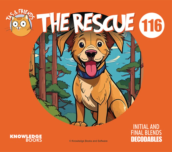 Rescue, The
