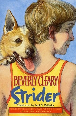 Strider