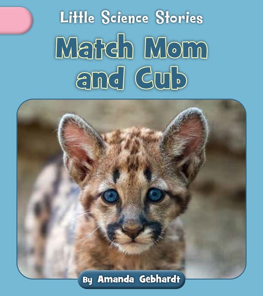 Match Mom And Cub