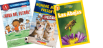 Take Home Pack, Kindergarten High Interest (Spanish)