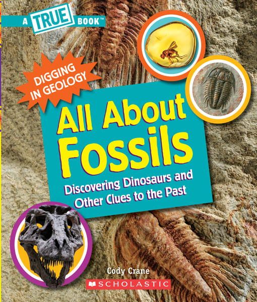 All About Fossils: Discovering Dinosaurs And Other Clues To The Past