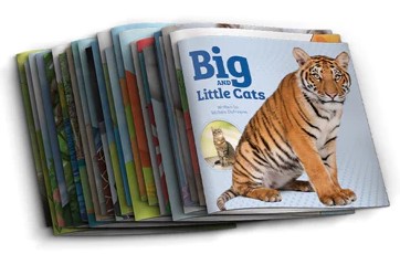 On Our Way Phonics Storybooks Set 1 (24 Books)