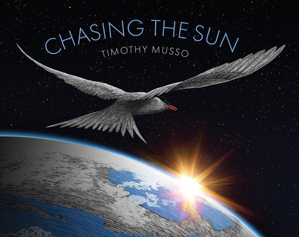 Chasing The Sun