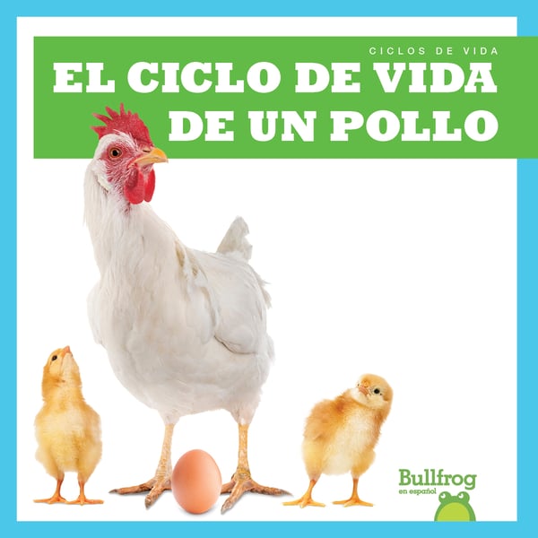 El Ciclo De Vida De Un Pollo (A Chicken's Life Cycle)