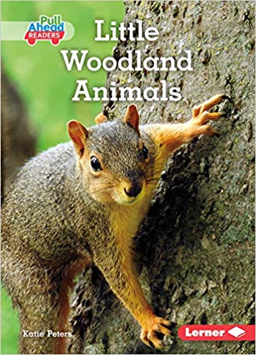Little Woodland Animals