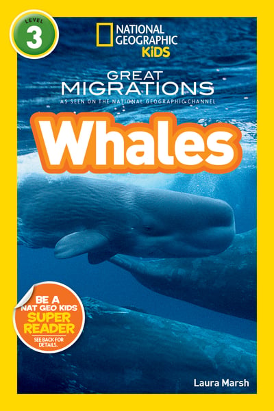 Great Migrations: Whales