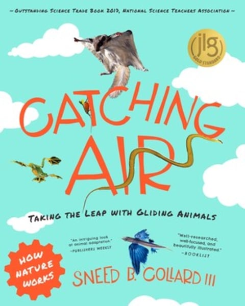 Catching Air: Taking The Leap With Gliding Animals