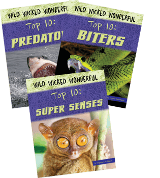 Wild Wicked Wonderful Top 10