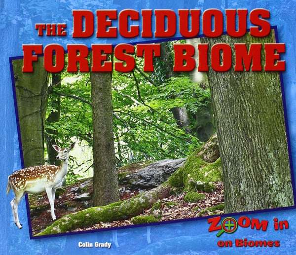 Deciduous Forest Biome, The