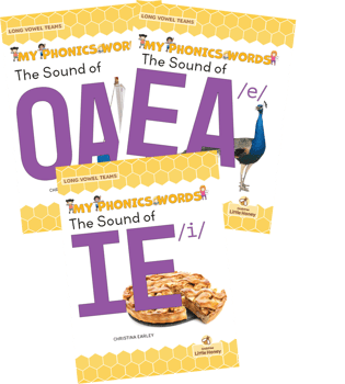 My Phonics Words: Long Vowel Teams