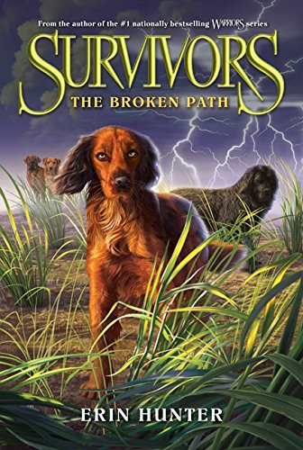 Broken Path, The
