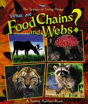 What Are Food Chains And Webs?