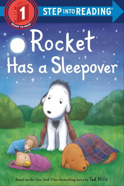 Rocket Has A Sleepover