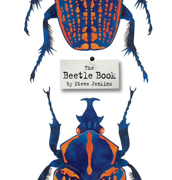 Beetle Book, The