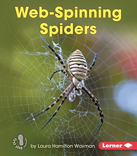 Web-Spinning Spiders