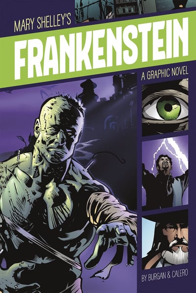 Frankenstein (Graphic Adaptation)