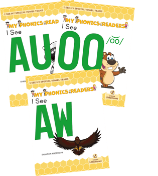 My Phonics Readers: Special Vowel Teams