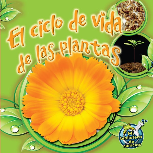 El Ciclo De Vida De Las Plantas (Plant Life Cyces)
