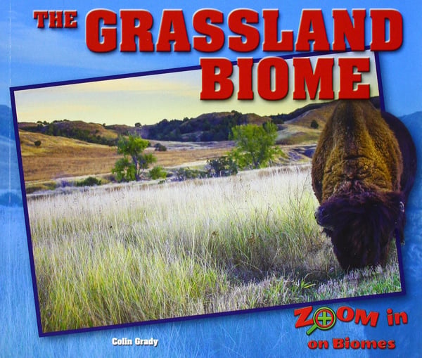 Grassland Biome, The