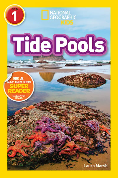 Tide Pools