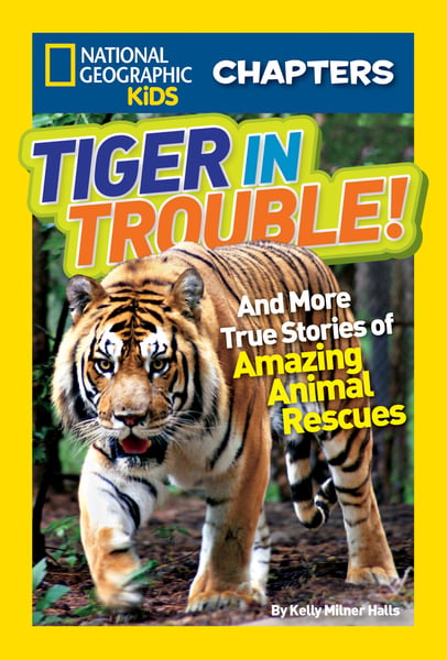 Tiger In Trouble! And More Stories Of Animal Rescues