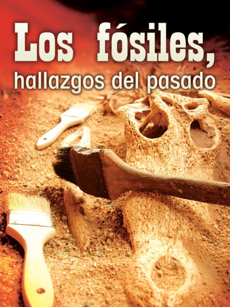 Los Fosiles, Hallazgos Del Pasado (Fossils, Uncovering The Past)