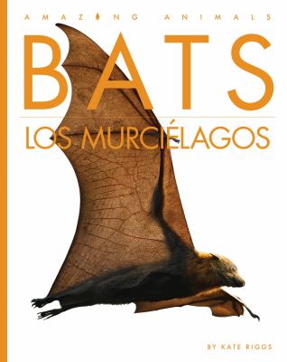 Bats / Los Murcielagos