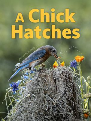 Chick Hatches, A