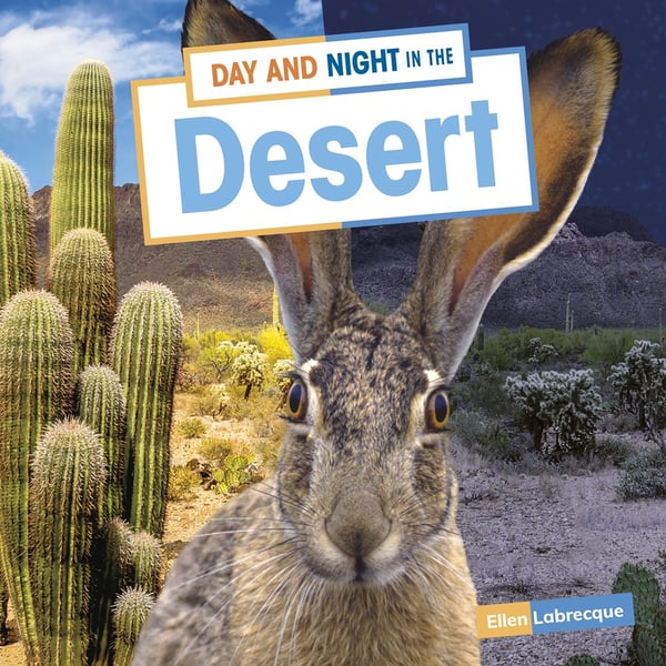 Day And Night In The Desert